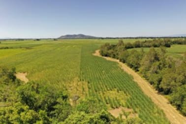 50950 Bruce Highway Ingham QLD 4850 - Image 2