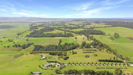 137 Mitchells Road Newmerella VIC 3886 - Image 3
