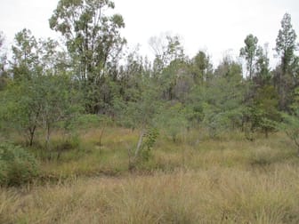 Lot 4 South Road Tara QLD 4421 - Image 2