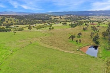 Click to view all images 132 Sunnyside Loop Road Tenterfield NSW 2372 - Image 3