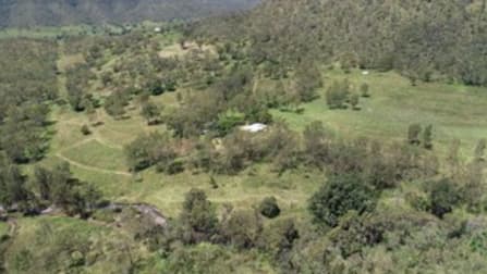 15 Taylor Rd Townson QLD 4341 - Image 3