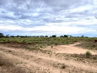 Click to view all images 1 Yates Road Minnipa SA 5654 - Image 3