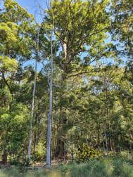 Click to view all images Williams Road Benarkin QLD 4314 - Image 3