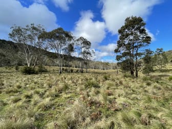 Lots 79,80 & 86 Blencowes of Nowendoc via Gloucester NSW 2422 - Image 2