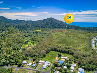Lot 1 FLYING FISH POINT ROAD Coconuts QLD 4860 - Image 1
