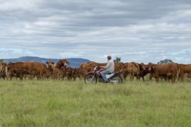0 Brisbane Valley Highway Wivenhoe Hill QLD 4311 - Image 1