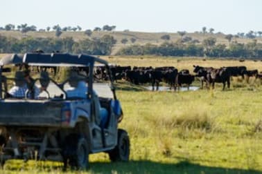 157 Coalmine Road Ashford NSW 2361 - Image 1