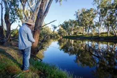 157 Coalmine Road Ashford NSW 2361 - Image 2