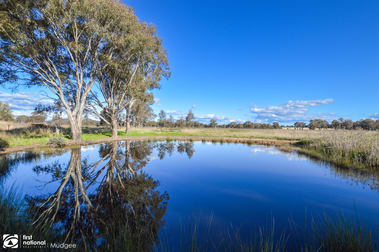 146 Kurtz Lane Mudgee NSW 2850 - Image 1
