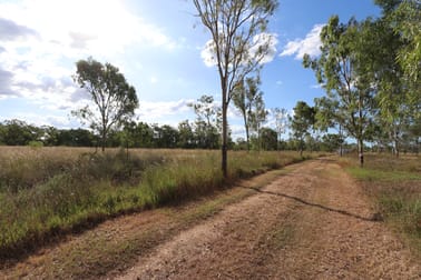 218 Boys Road Alton Downs QLD 4702 - Image 3