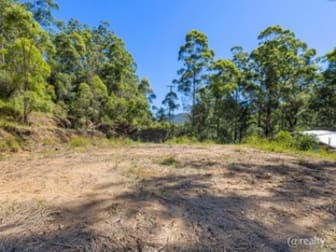 951 Upper Buckrabendinni Road Buckra Bendinni NSW 2449 - Image 1