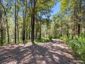 951 Upper Buckrabendinni Road Buckra Bendinni NSW 2449 - Image 3