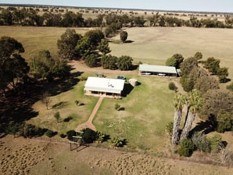 'Elva Grange' 223 Ellis Road Gilgandra NSW 2827 - Image 1