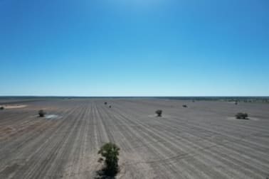 1425 Noondoo Mungindi Road Dirranbandi QLD 4486 - Image 1