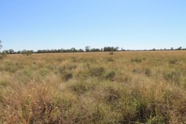 1425 Noondoo Mungindi Road Dirranbandi QLD 4486 - Image 2