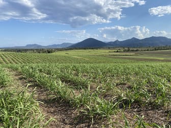 Lot 21 241 Wintons Road Yalboroo QLD 4741 - Image 1