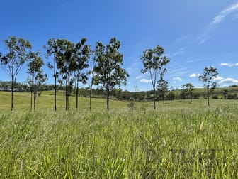 167/ Towns Creek Road Mount Perry QLD 4671 - Image 1