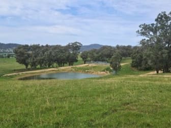 Click to view all images 283 ERUDGERE LANE Erudgere NSW 2850 - Image 2