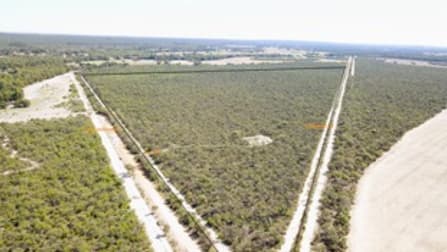 Lot 801 Buckingham Road Wanerie WA 6503 - Image 3