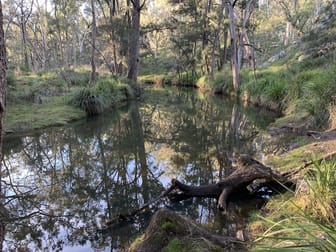 2358 & 326 Port Macquarie Road Rylstone NSW 2849 - Image 3