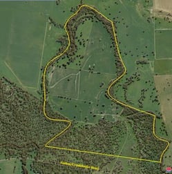 'Emersons' 86 Bandalong Road Forbes NSW 2871 - Image 2