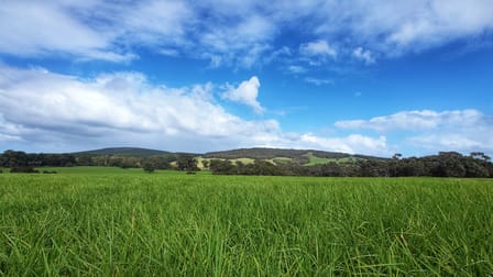 Lot 201 Mount Richard Road Nanarup WA 6330 - Image 3