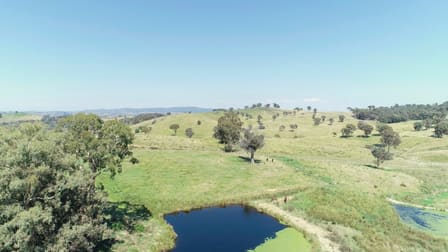 'Morella' 1257 Bundalah Road Euchareena NSW 2866 - Image 3