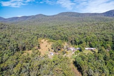250 Emu Creek Road Crawford River NSW 2423 - Image 1