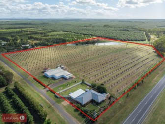 6 Pashleys Road Welcome Creek QLD 4670 - Image 1