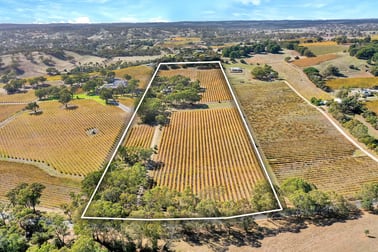 103 Long Gully Road Angaston SA 5353 - Image 1