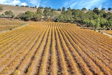 103 Long Gully Road Angaston SA 5353 - Image 3