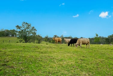 3545 Allyn River Road East Gresford NSW 2311 - Image 1