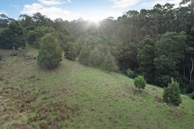 30 Roadknight Creek Road Forrest VIC 3236 - Image 1