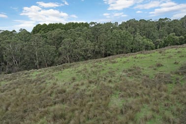30 Roadknight Creek Road Forrest VIC 3236 - Image 3
