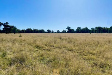 Beveridges Road Baradine NSW 2396 - Image 2