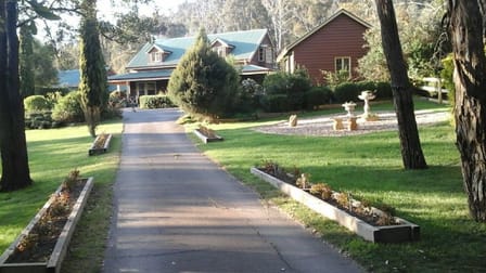 3519 Whittlesea-Yea Rd Flowerdale VIC 3717 - Image 1