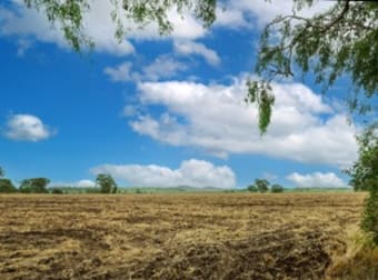 3137 Toowoomba Cecil Plains Road Oakey QLD 4401 - Image 1
