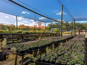 Parkland Wholesale Nursery Tinonee NSW 2430 - Image 1