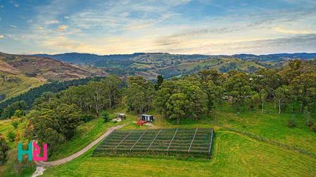 36 Marsden View Close Kanimbla NSW 2790 - Image 3