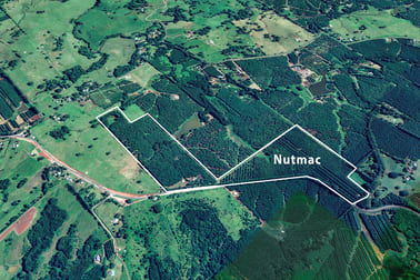1050 Lismore Road Nashua NSW 2479 - Image 3