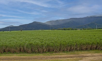 297 Russell Road Gordonvale QLD 4865 - Image 3