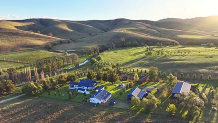 1061 Goorangoola Road Singleton NSW 2330 - Image 1