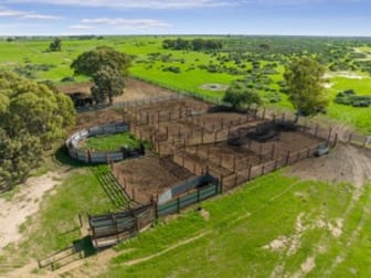 815 Inverness Road Deniliquin NSW 2710 - Image 2