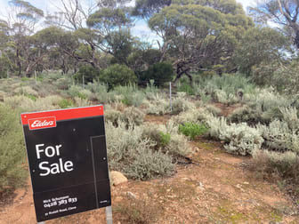 Lot 1 Swallows Nest Road Cowell SA 5602 - Image 1