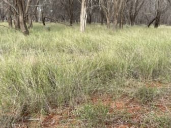 Click to view all images 1153 Middle Creek Road Langlo QLD 4470 - Image 3