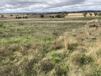 77R Truelay Block 3 Westella Rd Wongarbon NSW 2831 - Image 3