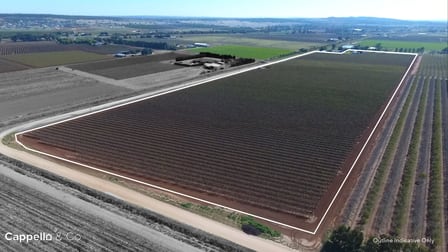 329 & 391 Rossetto Road Bilbul NSW 2680 - Image 2