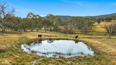1153 New England Gully Road Tamworth NSW 2340 - Image 2