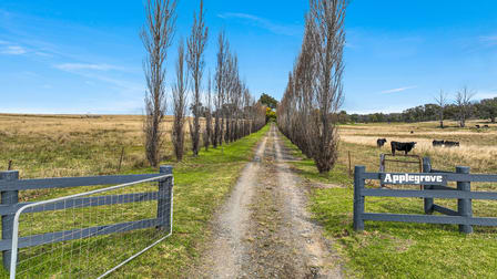1153 New England Gully Road Tamworth NSW 2340 - Image 3
