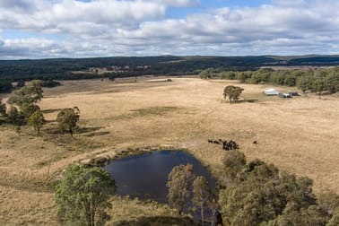 962 Blue Springs Road Cope Gulgong NSW 2852 - Image 1